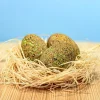 BumbuToys Ankylosaurus Eggs SET Best