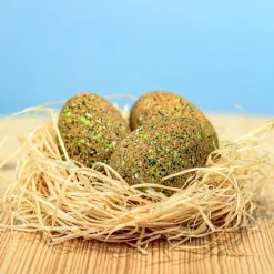 BumbuToys Ankylosaurus Eggs SET Best