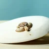 BumbuToys Baby Turtle Brown Best