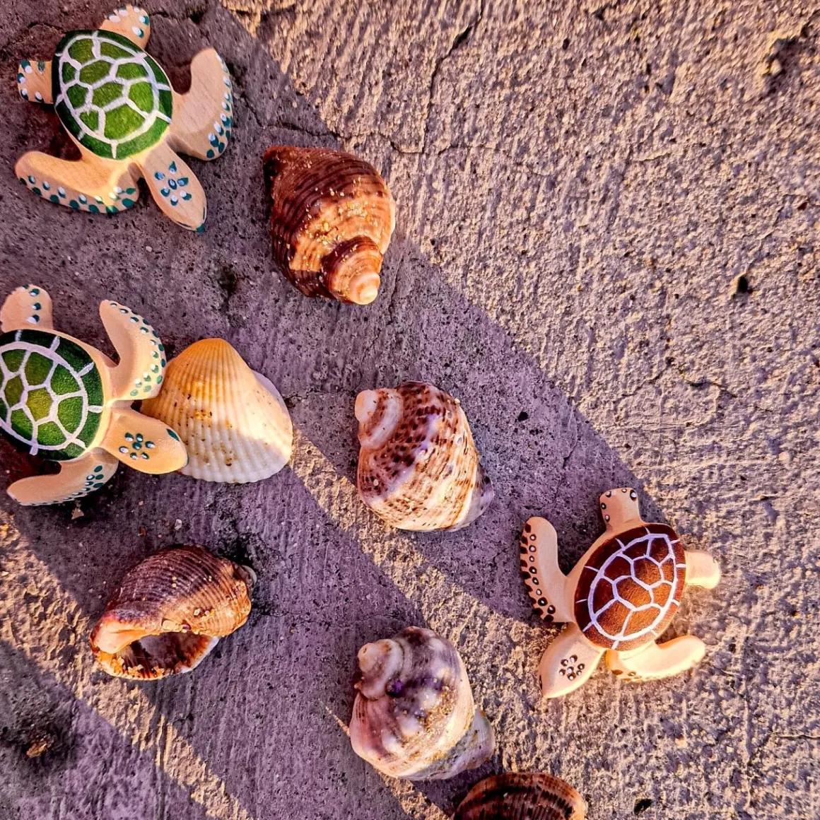 BumbuToys Baby Turtle Brown Best