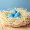 BumbuToys Brontosaurus Eggs SET Best