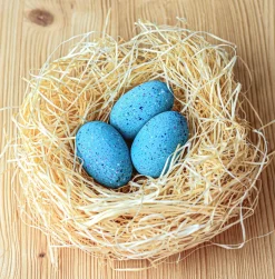 BumbuToys Brontosaurus Eggs SET Best