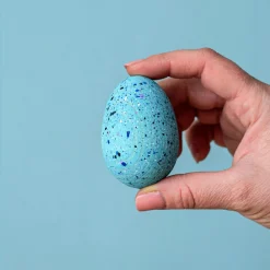 BumbuToys Brontosaurus Eggs SET Best