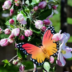 BumbuToys Butterfly New