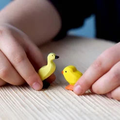 BumbuToys Chick New