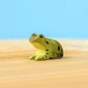 BumbuToys Frog New