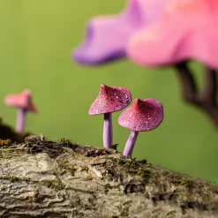 BumbuToys Magic Mushrooms SET New