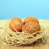 BumbuToys Parasaurolophus Eggs SET Outlet