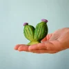 BumbuToys Pin Cushion Cactus New