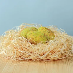 BumbuToys Stegosaurus Eggs SET Clearance