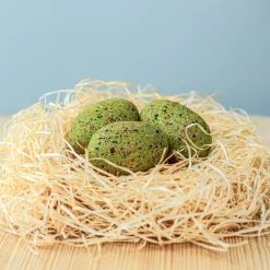 BumbuToys T-Rex Eggs SET Clearance
