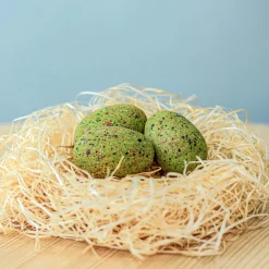 BumbuToys T-Rex Eggs SET Clearance