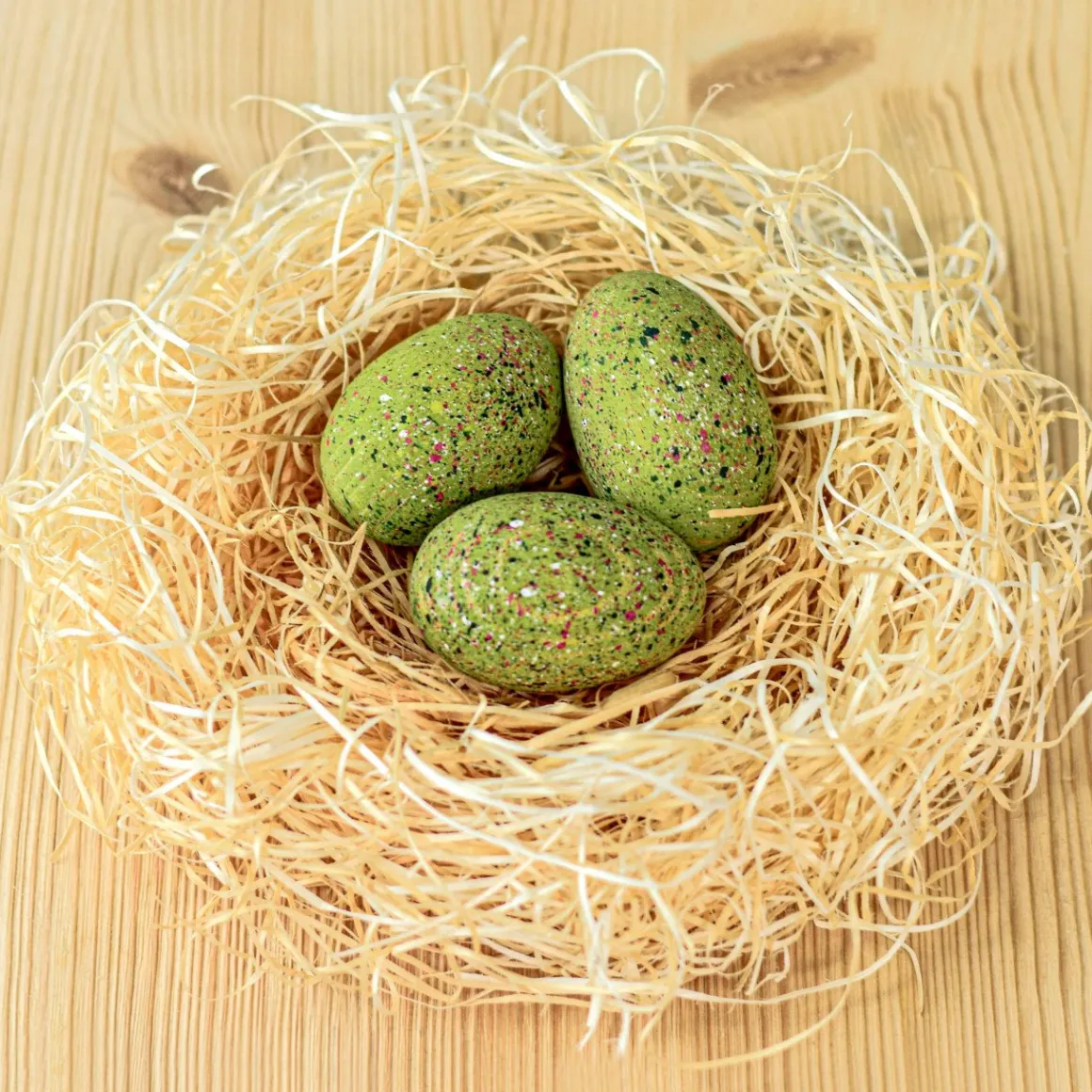 BumbuToys T-Rex Eggs SET Clearance